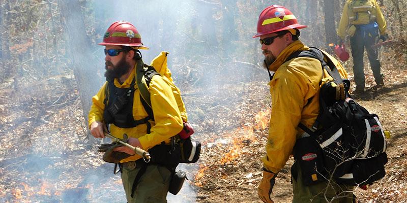 Forest Fire Program Rhode Island Department Of Environmental Management